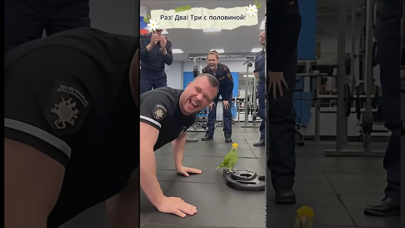 Попугай-тренер убица! Смех до слёз