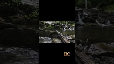 Couple slain while hiking with daughters in Arkansas state park, police say