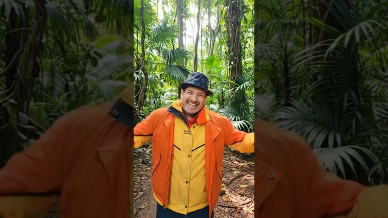 Знаток Воронцов ) #НейроКотСпб #Нейрокот #Воронцолог #Природа #Воронцов #Кринж #Кринждед #Шортс #Кот