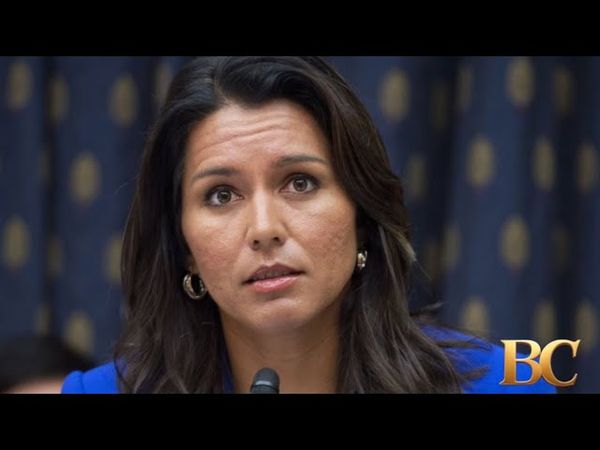 Tulsi Gabbard calls for Obama to be prosecuted over 2016 election claims