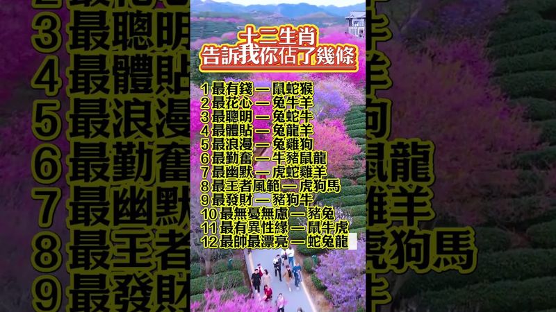 十二生肖告訴我你佔了幾條？ #易经 #正能量 #運勢 #生肖