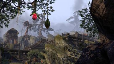 Аргониане, Народ Корня | TES Лор [AshKing]