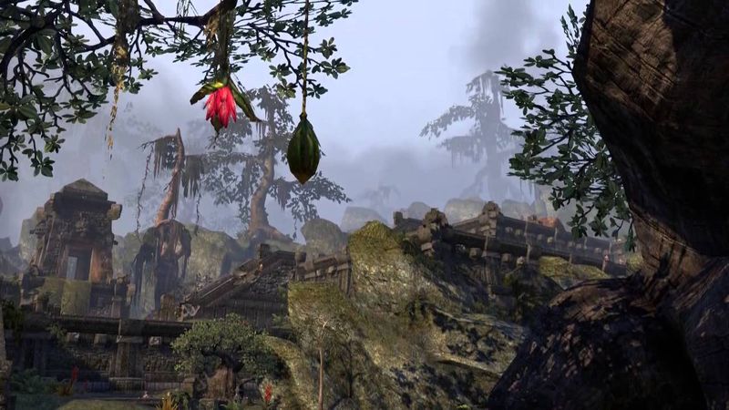 Аргониане, Народ Корня | TES Лор [AshKing]