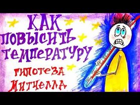 Тканевое дыхание. ч.4. Разобщители. Гипотеза Митчелла. Биохимия