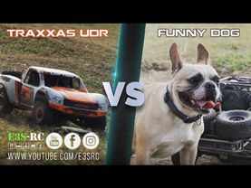 TRAXXAS UDR VS FUNNY DOG - RACING - RC Cars E3S-RC