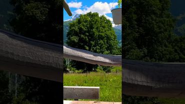 Switzerland Isenfluh #switzerland #travel #mountains #nature