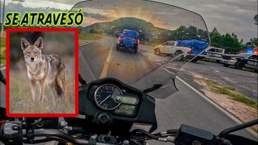 Me lleve unos sustos / observaciones diarias en moto