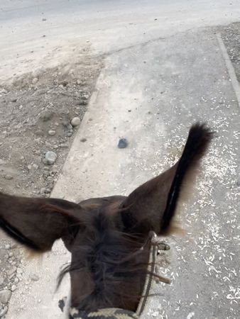 #нелегалы #безправ 