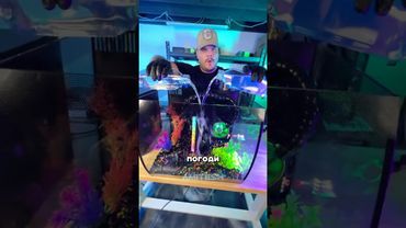 Как охладить комп жидкостью? #амитеш #компьютер #пк