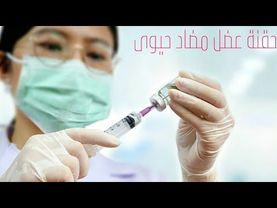 حقنة 💉 مضاد حيوي لانسة حلوة فى المستشفى intramuscular injection in hospital