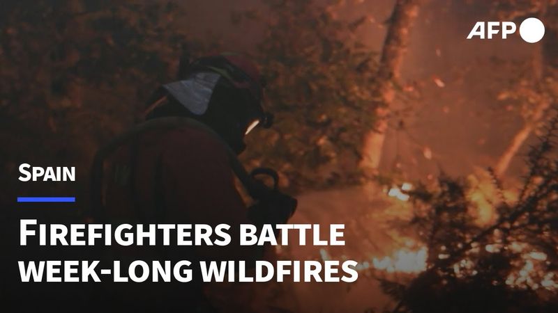 Spanish firefighters battle Galicia fire | AFP