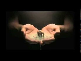 Viasat Nature idents 2011/на платформе VIASAT