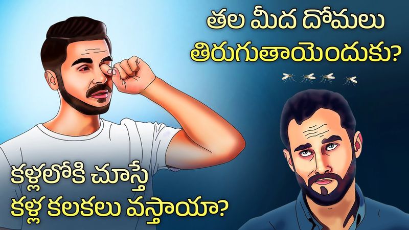 కళ్లలోకి చూస్తే కలకలు వస్తాయా? | Why do mosquitoes circle over your head | Telugu Facts