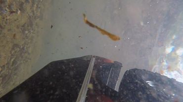 Traxxas TRX4 Ford Bronco Valley Rock Crawling 2