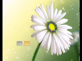 Сезонная Отбивка "Лето на TVM" 2008г