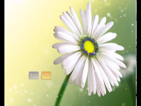 Сезонная Отбивка "Лето на TVM" 2008г