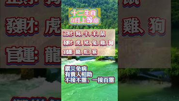 十二生肖 9月上等命 ！接了，轉發，錢財擋不住！#生肖 #十二生肖 #運勢