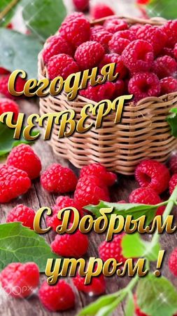 #доброеутрочетверга