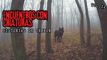 1 Hora de encuentros aterradores con CRIATURAS Y CRÍPTIDOS