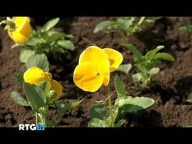 Теле Ляп: девушка неправильно одела рабочую перчатку