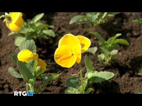 Теле Ляп: девушка неправильно одела рабочую перчатку