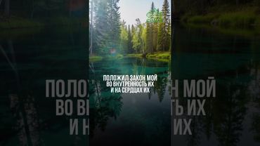 Совет дня: слушай сердце