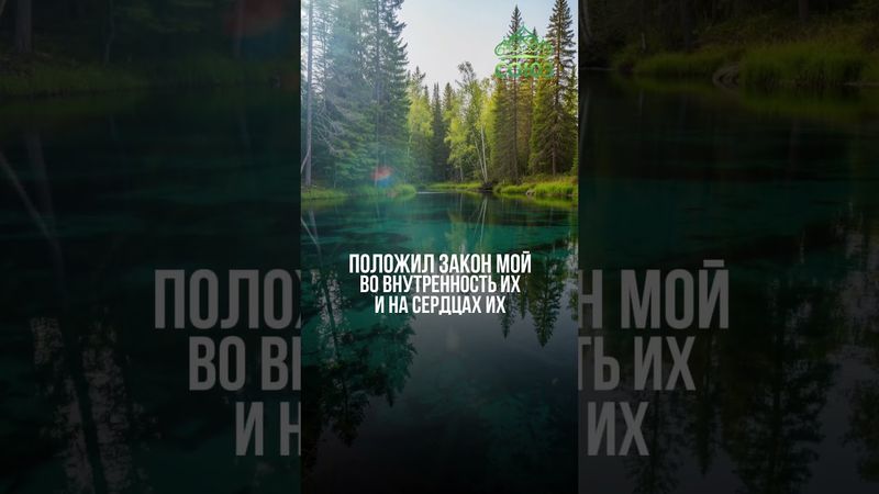 Совет дня: слушай сердце