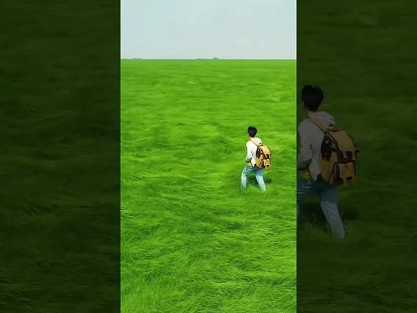 【願你如朝陽照巔峰，光芒萬丈福運長！接了轉發，好運自來！】#正能量 #風景 #人生感悟 #運勢 #財運 #命理 #國學文化 #詩意人生