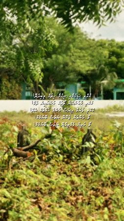 ކުއްލި ފަރުވާ ދިނަސް މަރުގެ ހައްލެއް ނެތޭ!!! #foryoupage #dhivehi #ma...