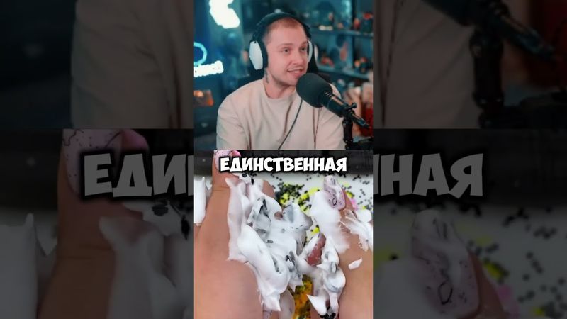 лучший университет #стинт #stint #stintik #прикол #реакция