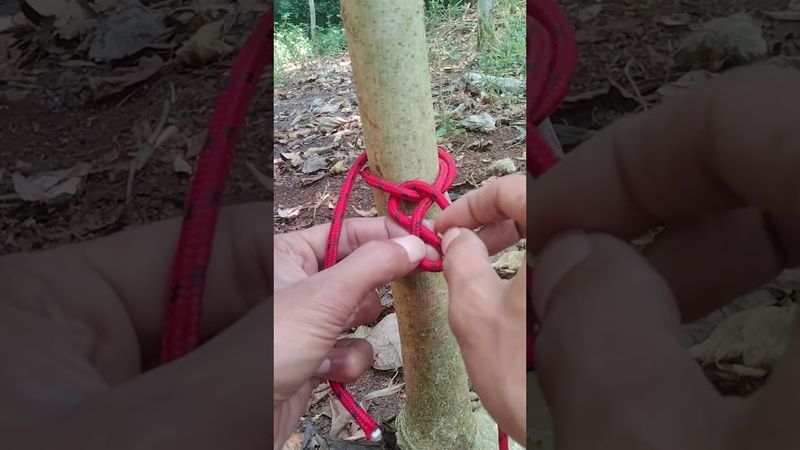 گره های محدود کننده درد شل شدن #گره است