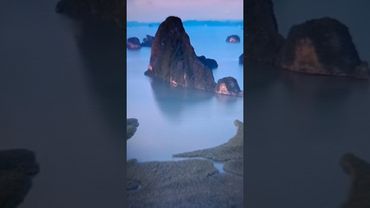 Я из очень бедной семьи 🙀🤔😉🤣 #cat #кот #юмор #котушка #приколы #цитаты #мем