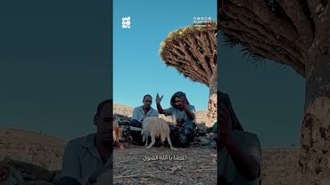 في سقطرى.. قربان من الماعز لأجل نزول المطر! | جذور من سقطرى