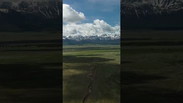 PAMШ, Saya Musa — Алтай. Слушайте на всех площадках!