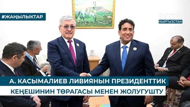 АДЫЛБЕК КАСЫМАЛИЕВ ЛИВИЯНЫН ПРЕЗИДЕНТТИК КЕҢЕШИНИН ТӨРАГАСЫ МЕНЕН ЖОЛУГУШТУ