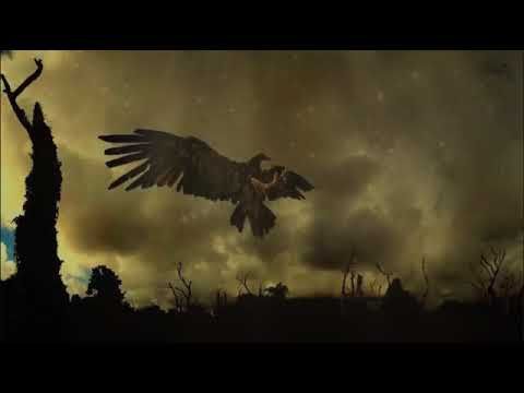 Али Димаев   Нохчийчоь  Чеченский и Русский текст