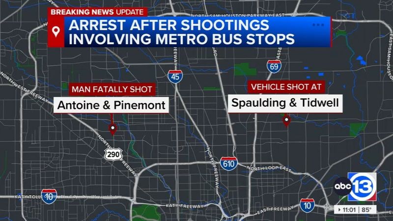 Suspect connected to 2 separate METRO shootings arrested, records show