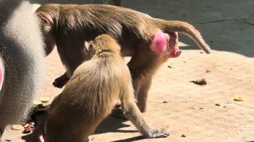 Люся не отходит от Елисея, но она повела себя не правильно, она подумала что ей ВСЕ МОЖНО, но