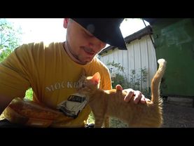 СЕЛЬСКАЯ ЖИЗНЬ С МУТНЫМ МРАКОМ / VOLVO 740