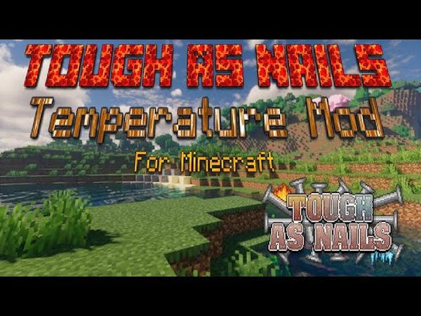 Temperature Mod  - Tough As Nails