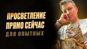 Что такое просветление | Встреча с практиками закрытой группы "Просветление и котики"