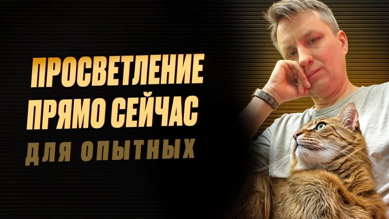 Что такое просветление | Встреча с практиками закрытой группы "Просветление и котики"