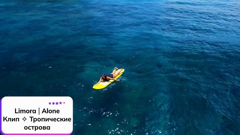Limora ⎪ Alone ✧ Клип