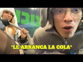 EMIKUKIS LE ARRANCA LA COLA AL DISFRAZ DE GLOGLO