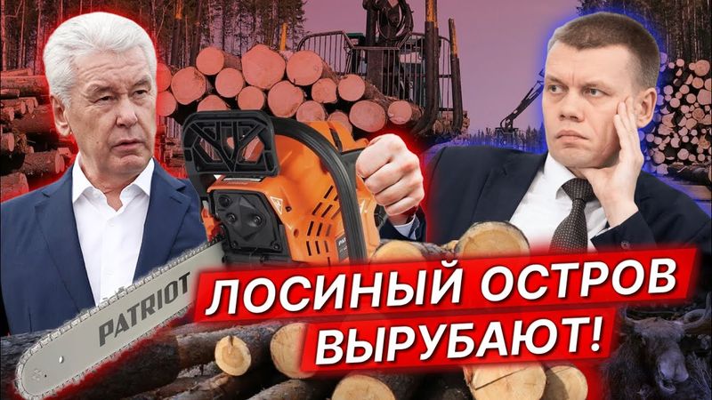 "Лосиный остров", экологические кампании в Москве / Евгений Ступин*