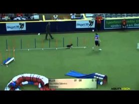 Jumping Small POLINA SOLOVEVA Adrenalina 3rd place WC 2012