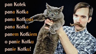 Польский язык. Урок 5. Глаголы II спр., существительные I скл.