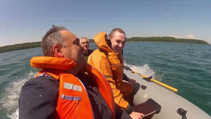 слоны на дубах