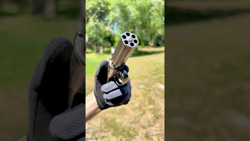 The gun of a 19th century British gentleman