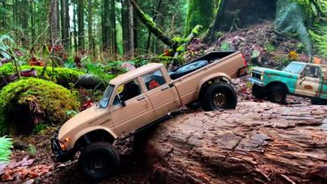 [Relaxing Video] We took our OLD FORD and Toyota Remote Controlled Trucks deep into the woods